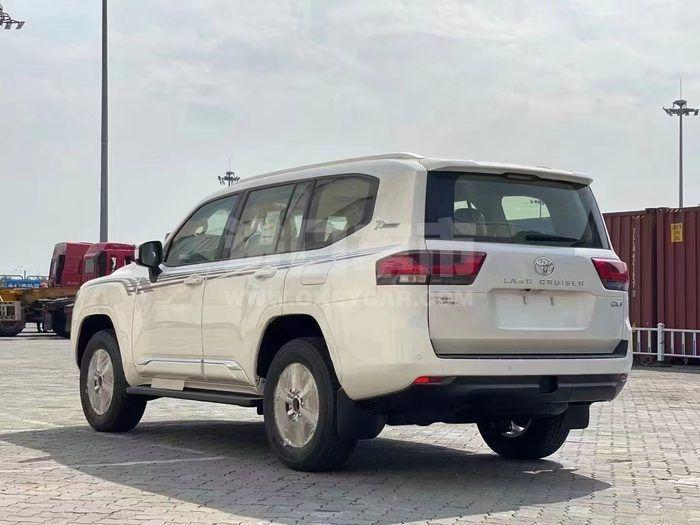 1831022_13405270231310127