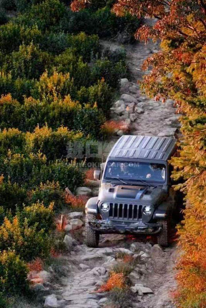 微信图片_202212021636193