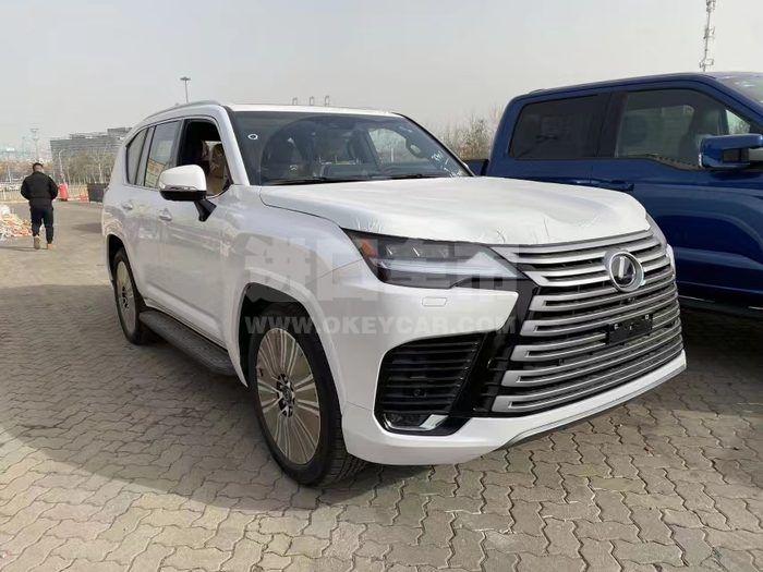 微信图片_202212231338594