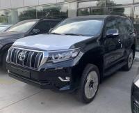 2023款 丰田霸道2800 2.8T 柴油 九气 底挂 天窗