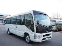 2020款 丰田考斯特2.7L 标准型