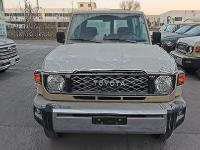 2024款丰田酷路泽LC71 4.0L 自动 汽油 铁轮