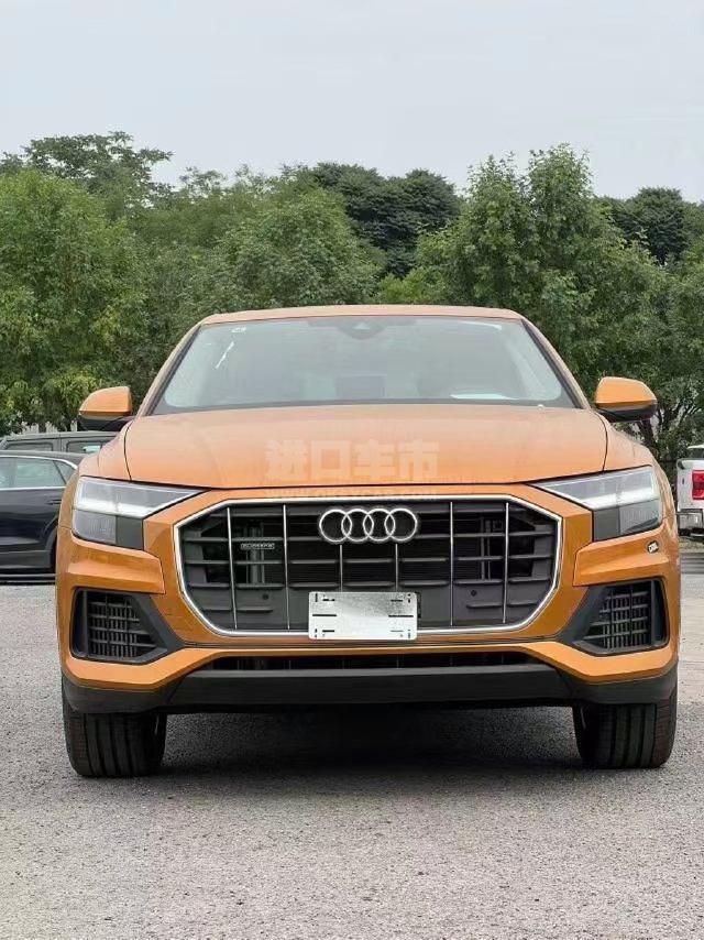 欧版2023款 奥迪Q8 3.0T 标准型	